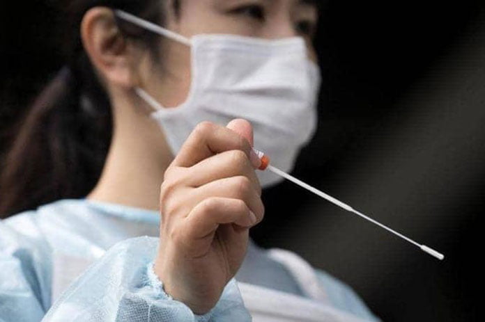 السلالة الجديدة