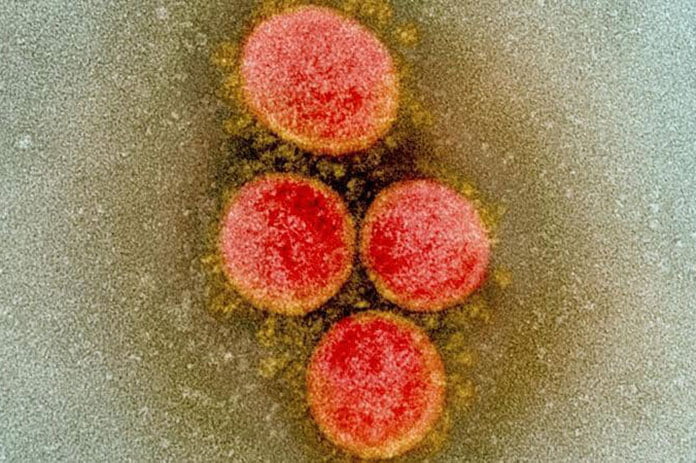 النسخة المتحورة من فيروس