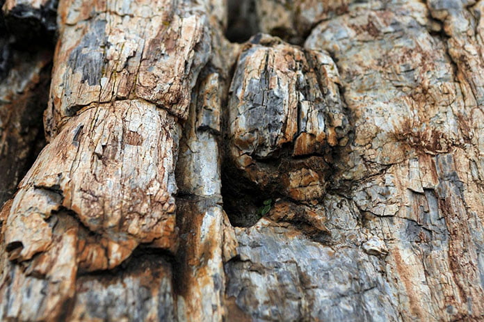 رغم مرور 20 مليون