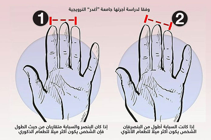 أصابع اليد الطعام