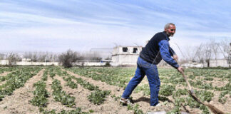 الربيع الأخضر الغوطة الشرقية