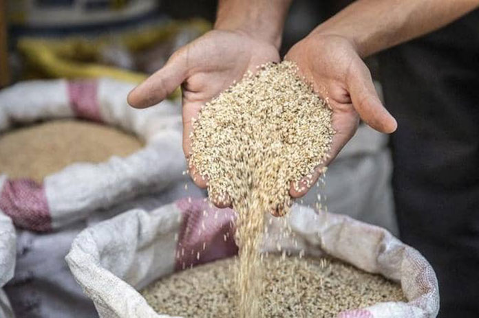 خطر الإصابة بمرض باركنسون