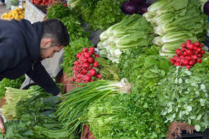 أسعار أسواق اللاذقية