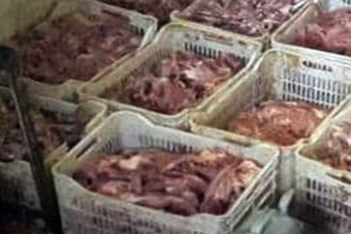 الفروج غير الصالح للاستهلاك