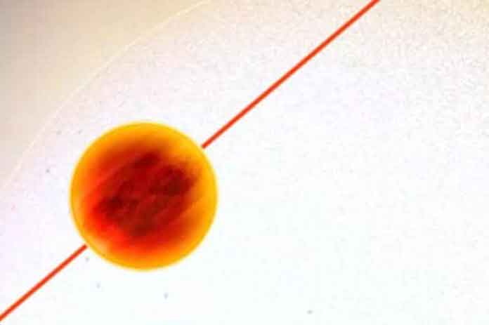 الكوكب الكون