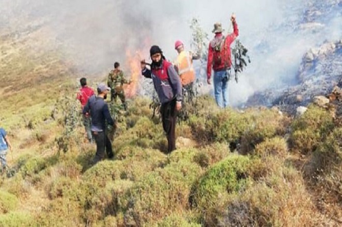 إخماد حرائق طالت أشجاراً مثمرة ومحاصيل زراعية في حمص