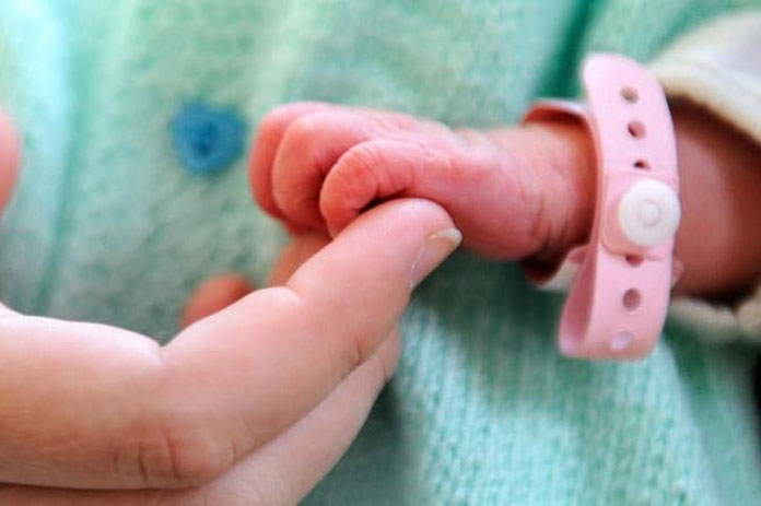 السويد التبني