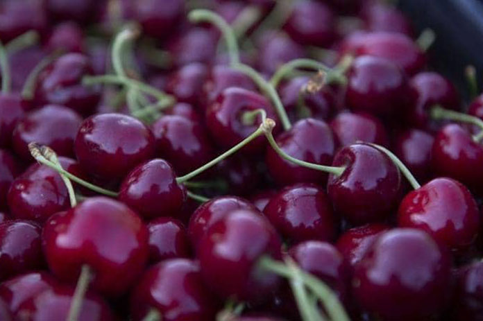 7 فوائد للكرز