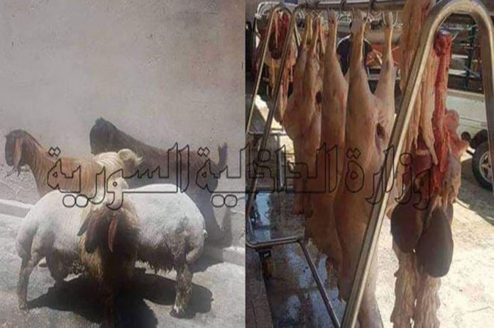 مسالخ غير مرخصة بحلب