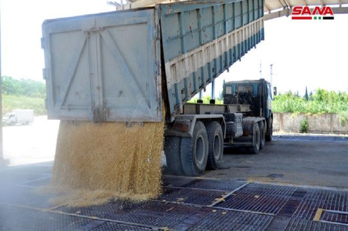 صرف قيم القمح للفلاحين على الهوية الشخصية ودون طلب براءات ذمة