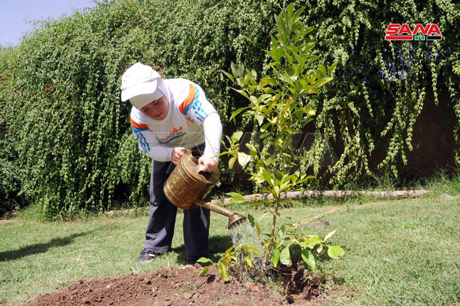 حملة تشجير بدمشق