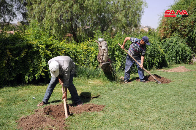حملة تشجير بدمشق