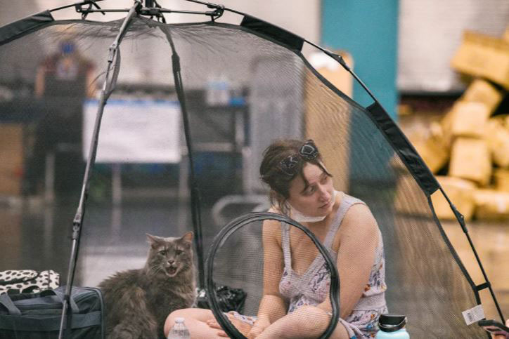 أبرز أحداث الأسبوع الماضي