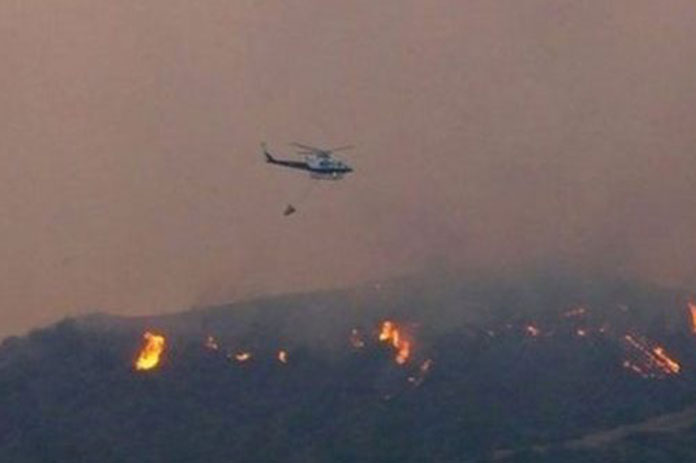 السلطات القبرصية حريق الغابات