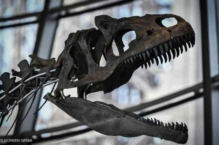 أخيرا.. علماء يكتشفون “قاتل الديناصورات”