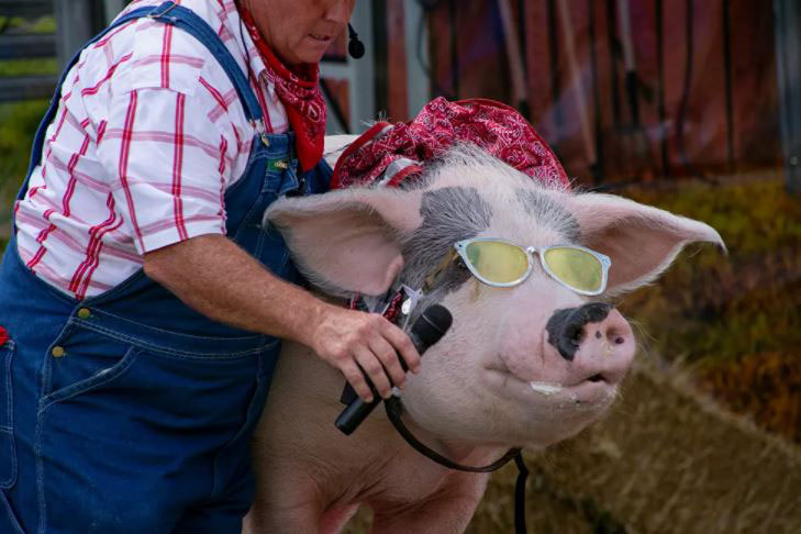 أحداث الأسبوع في صور