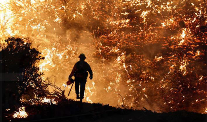 أحداث الأسبوع في صور