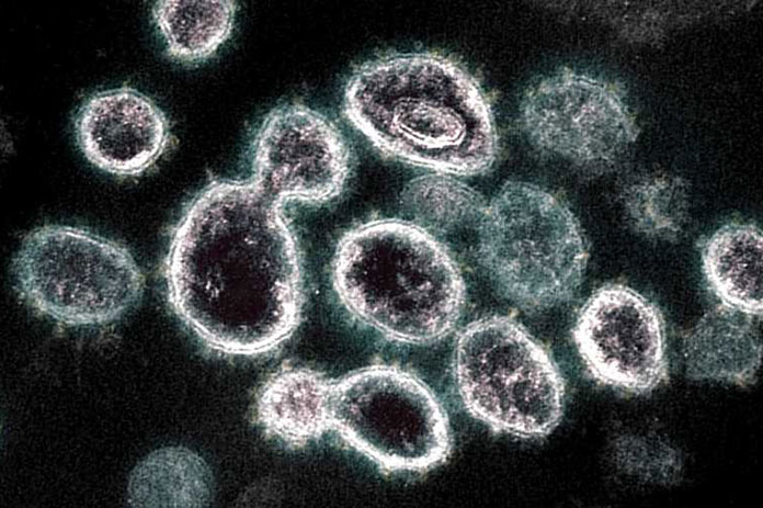 مرضى كورونا