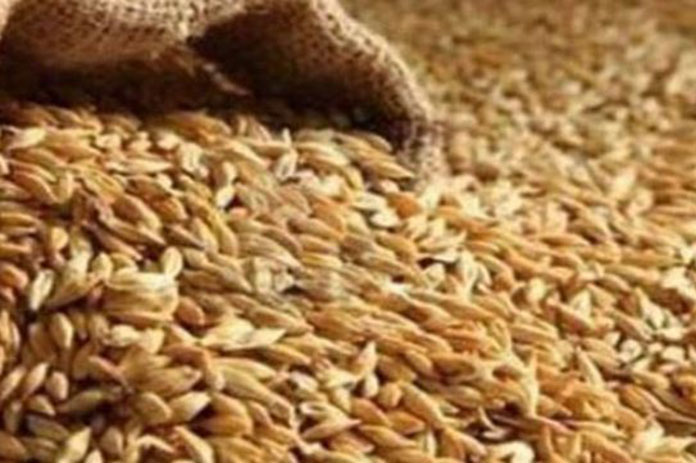 أسعار الحبوب