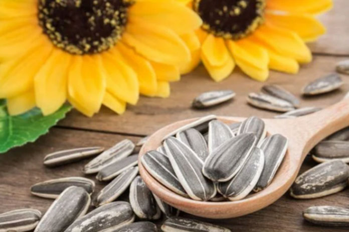 فوائد بذور دوار الشمس