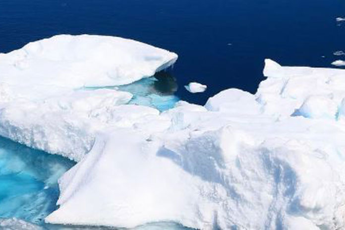 ليست الخفافيش.. كائنات في أقصى العالم تنذر بجائحة جديدة