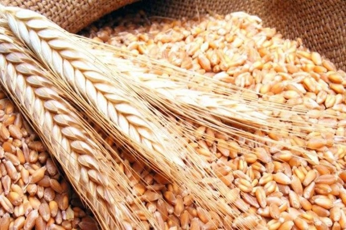 مؤسسة الإعلاف تعلن عن رغبتها بالتعاقد لتوريد 40 ألف طن من الشعير