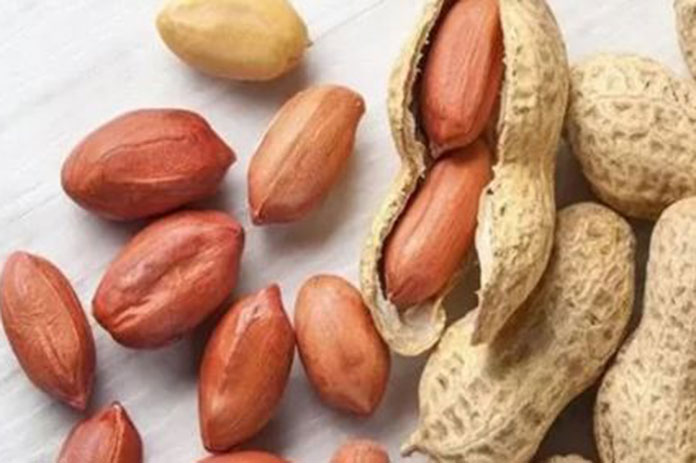 الفستق.. كنز من كنوز الطبيعة داوم على تناوله