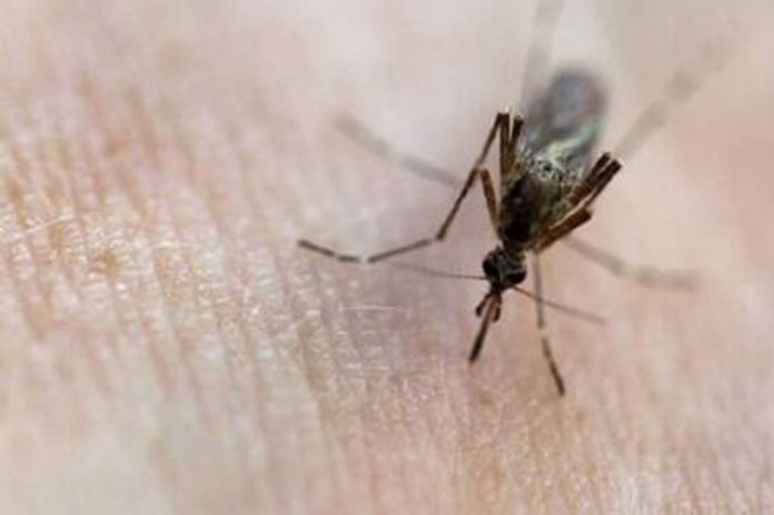 طبيب روسي يكشف علامة مبكرة غير متوقعة للسرطان