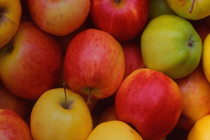 الموافقة على برنامج دعم تصدير مادة التفاح للموسم الحالي