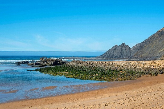 أقدم كائن على قيد الحياة يحتفل بعيد ميلاده الـ190