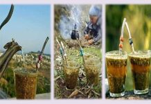 Mate in Syria a favorite drink