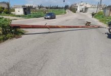حماه