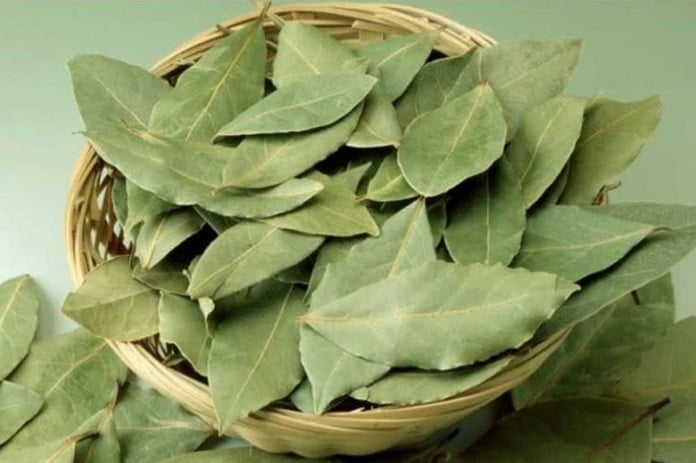 السماح بتصدير الزيزفون وورق الغار