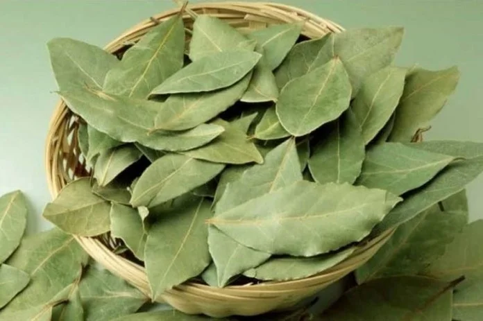 السماح بتصدير الزيزفون وورق الغار