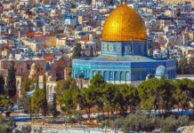 جائزة فلسطين