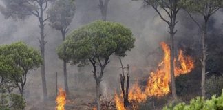 تحذير هام من منصة الغابات ومراقبة الحرائق