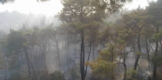 حريق ضخم في ريف اللاذقية