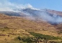 نشوب حريق بالأراضي الزراعية بين حرمل وشنين بريف مصياف