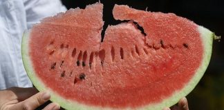 نصائح طبية لمحبي البطيخ