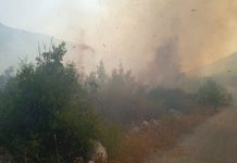 7 حرائق في اللاذقية