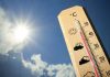 الحرارة إلى انخفاض وأجواء سديمية في المناطق الشرقية والبادية