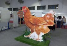 مؤسسة محمد جنن التجارية
