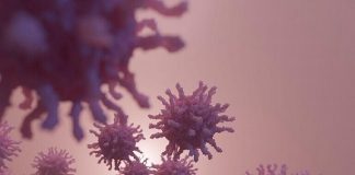 هل تحول فيروس كورونا إلى استهداف أعضاء أخرى من الجسم؟