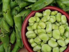 مونة الفول الأخضر