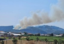الحرائق تلتهم مساحات شاسعة شمال فلسطين المحتلة وتجرح 9 جنود “إسرائيليين”