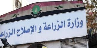 الزراعة تصدر نتائج الثانوية الزراعية للدورة الأولى لعام 2024