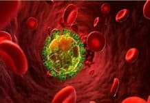 قصة الإيدز.. كيف ظهر؟ وأين يختبئ الآن؟ تاريخ انتشار الايدز