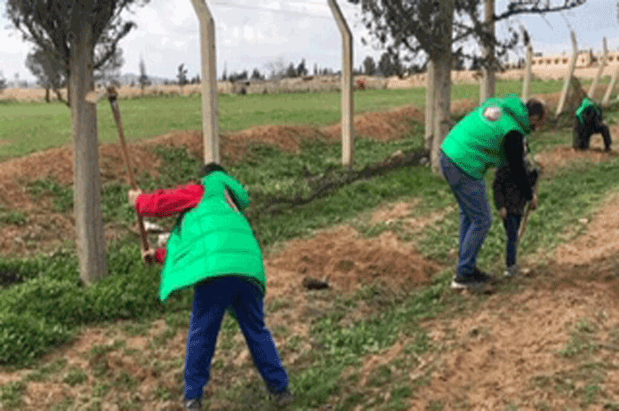 مبادرة خضراء جديدة في دمشق: زراعة 10 آلاف شجرة في المزة
