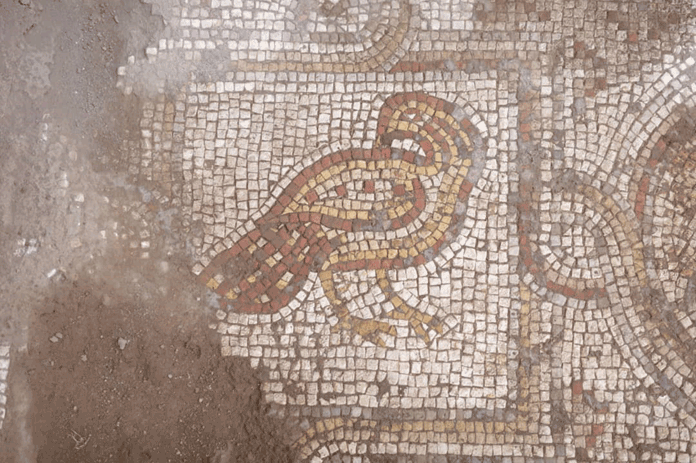 اكتشاف لوحة فسيفسائية بريف دمشق